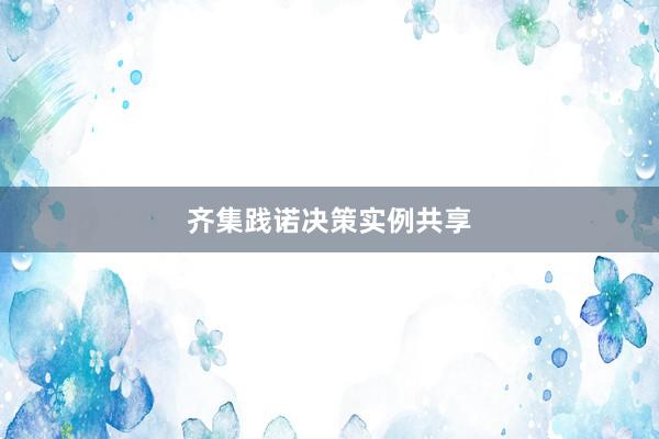 齐集践诺决策实例共享