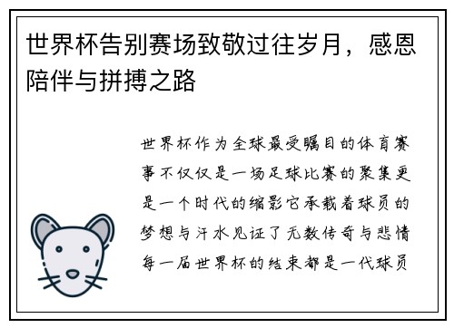 世界杯告别赛场致敬过往岁月，感恩陪伴与拼搏之路